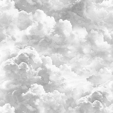 QT FABRICS - Earthly Delights by Dan Morris - Clouds - Gray