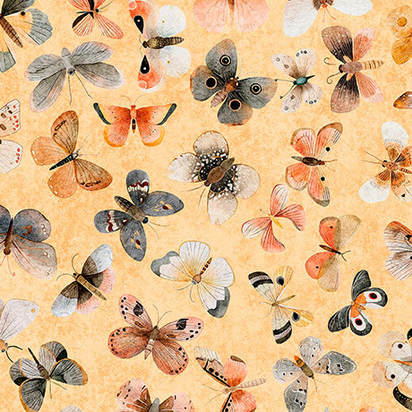 QT FABRICS - Hedgehugs by Morris Creative Group - Butterflies - Melon