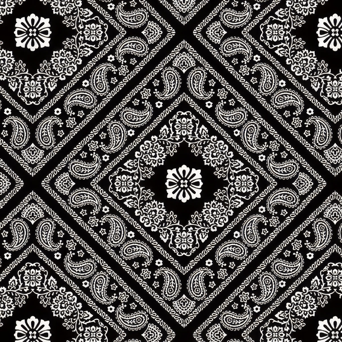 Skinny - SK15872 - 1 yd - Benartex - Bandana Medley - Bandana - Onyx