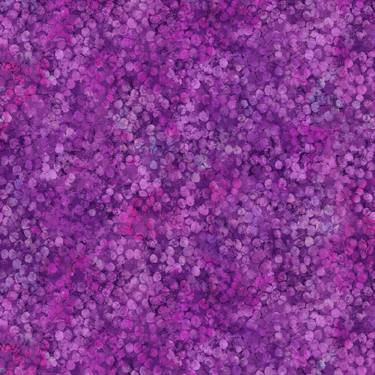 NORTHCOTT - Concerto by Deborah Edwards & Melanie Samra - Dots - Purple