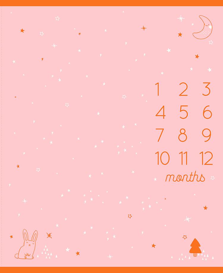 MODA - Ruby Star Society - Birthday by Sarah Watts - PANEL - Calendar - PL1050-