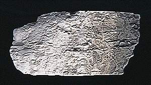 Woodland Scenics C1218 Earth Color - Stone Gray