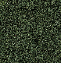 Woodland Scenics FC148 Bushes Bag - Forest Green (18 cu. in.)