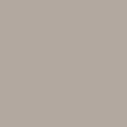 Tru-Color 136 Canadian National - CN Lettering Gray
