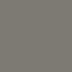 Tru-Color 29 Delaware & Hudson - D&H Gray, 1 oz. Acrylic Model Paint