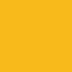 Tru-Color 300 Kansas City Southern - KCS Southern Belle Yellow, Acrylic Solvent Based Model Paint