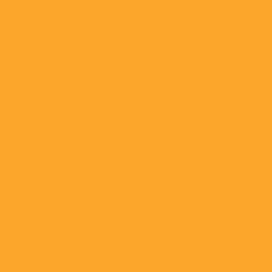 Tru-Color 309 Florida East Coast - FEC Yellow