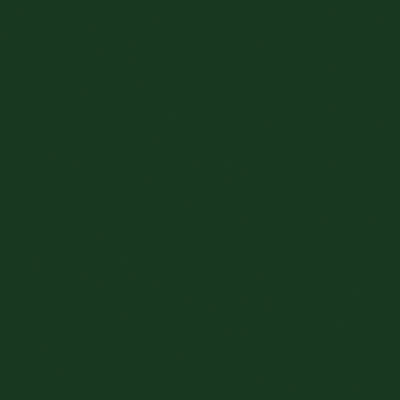 Tru-Color 338 Seaboard Airline - SAL Dark Green