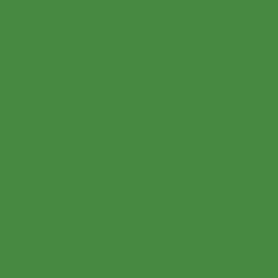 Tru-Color 503 High Gloss Sublime Green