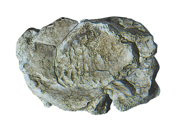 Woodland Scenics C1237 Rock Mold